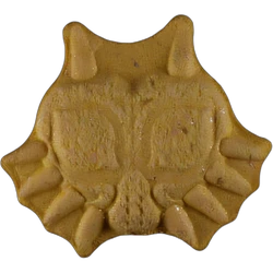 Compressa Anonymous — 2C-B — Svizzera