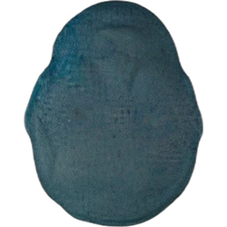 Compressa Putin — MDMA — Svizzera