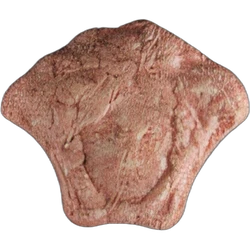 Compressa Versace — MDMA — Svizzera