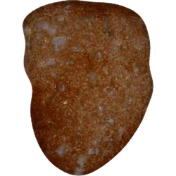 Compressa Trump — MDMA 160mg — Vienna, Austria