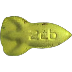 Compressa NASA — 2C-B — Svizzera