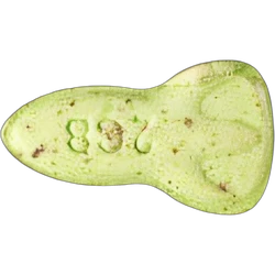 Compressa NASA — 2C-B — Svizzera