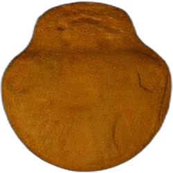Compressa Super Mario — MDMA — Svizzera