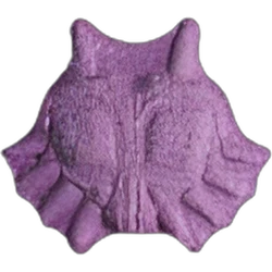 Compressa Anonymous — 2C-B; Unknown — Svizzera