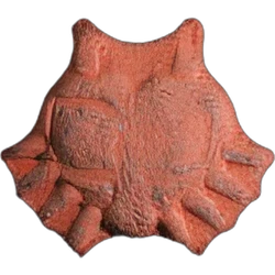 Compressa Anonymous — 2C-B — Svizzera