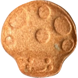 Compressa Mushroom — MDMA 173mg — Slovenia