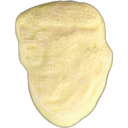 Compressa Trump — MDMA — Svizzera