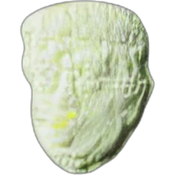Compressa Trump — MDMA — Svizzera