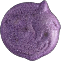 Compressa Wolf — MDMA — Svizzera