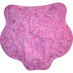 Compressa Kenzo — MDMA 242mg — Vienna, Austria