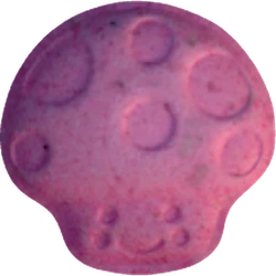 Compressa Mushroom — MDMA 158mg — Vienna, Austria