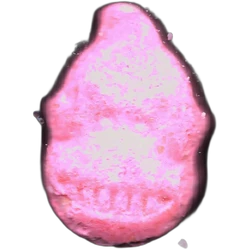 Compressa Donkey Kong — MDMA 153mg — Madrid, Spagna