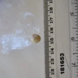 Compressa Super Mario — CBD; CBN; THC; CBG — Hertsmere, Three Rivers, St Albans, Watford (WD25), England