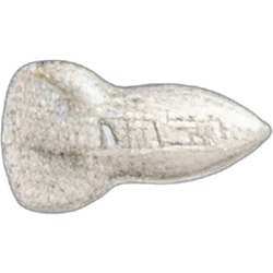 Compressa NASA — 2C-B — Svizzera