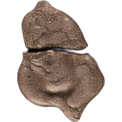 Compressa Grim Reaper — MDMA; Unknown — Svizzera
