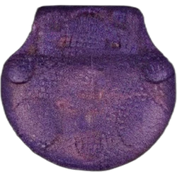 Compressa Mushroom — MDMA — Svizzera