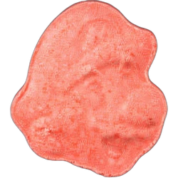 Compressa Super Mario — MDMA 151mg — Zürich, Svizzera