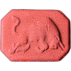 Compressa Red Bull — MDMA — Svizzera