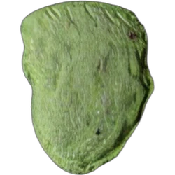 Compressa Trump — MDMA — Svizzera