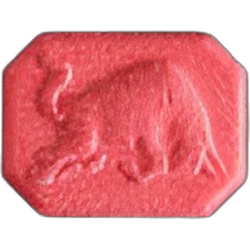 Compressa Red Bull — MDMA — Svizzera