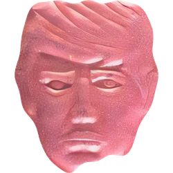 Compressa Trump — MDMA; PMMA; Ketamine; Amphetamine — Paesi Bassi