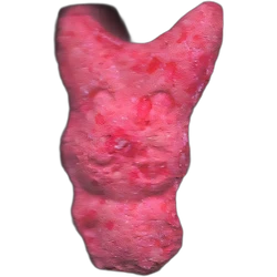 Compressa Rabbit — 2C-B 10mg — Madrid, Spagna