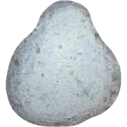 Compressa Angry Bird — MDMA 124mg — Vienna, Austria