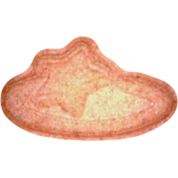 Compressa Pop Smoke — MDMA 93mg — Vienna, Austria