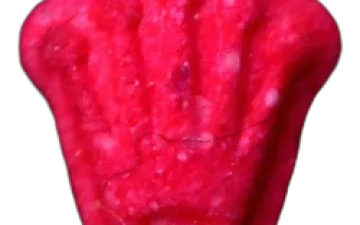Pillole Rolex