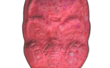 Pillole Anonymous (Ecstasy / MDMA)