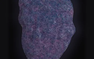 Capsule (risultati di analisi di campioni diversi)