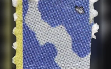 Blotter (risultati di analisi di campioni diversi)