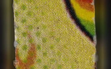 Pillole SpongeBob (Ecstasy / MDMA)