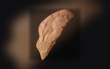 Rapporto sulla purezza delle droghe: settimana 32, 2026