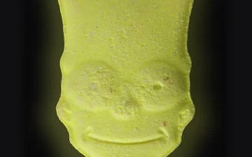 Pillole Bart Simpson