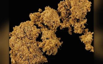 Haschisch Mit Synthethischen Cannabinoiden (risultati di analisi di campioni diversi)