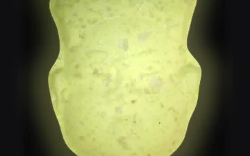Pillole NL (Ecstasy / MDMA)