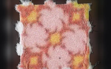 LSD Filz (risultati di analisi di campioni diversi)