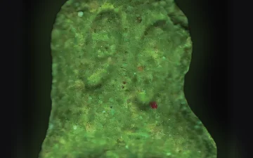 Pillole Fantasma (2C-B)