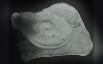 Pillole Tocadiscos (Ecstasy / MDMA)