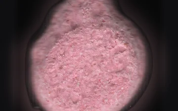 Pillole Burguer King (Ecstasy / MDMA)
