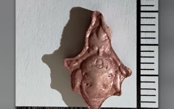 Pillole Tingle (2C-B)