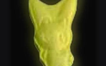Pillole Plusle (2C-B)