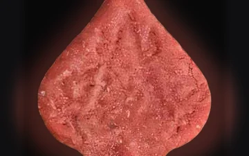 Pillole Pica (Ecstasy / MDMA)