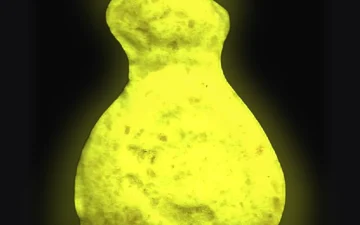 Pillole Dollar (Ecstasy / MDMA)