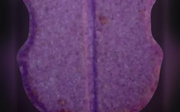 Pillole FC Barcelona (Ecstasy / MDMA)
