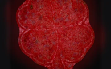 Pillole Four-Leaf Clover (Ecstasy / MDMA)