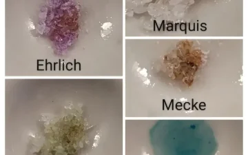 4-PrO-MET, 4-AcO-MET e 4-HO-MiPT: le nuove triptamine