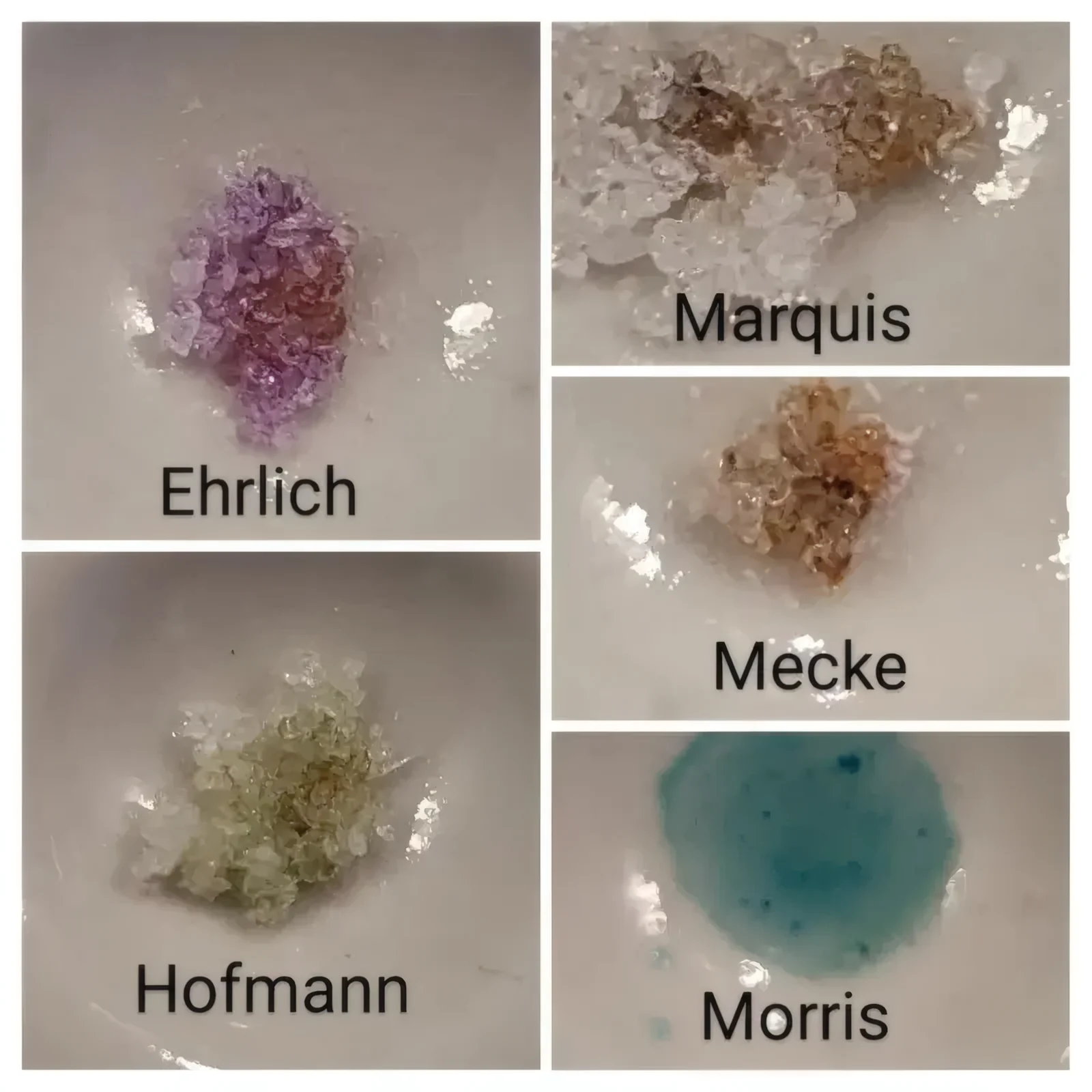 4-PrO-MET, 4-AcO-MET e 4-HO-MiPT: le nuove triptamine