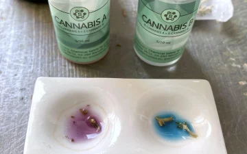Istruzioni per il test con reagente Cannabis